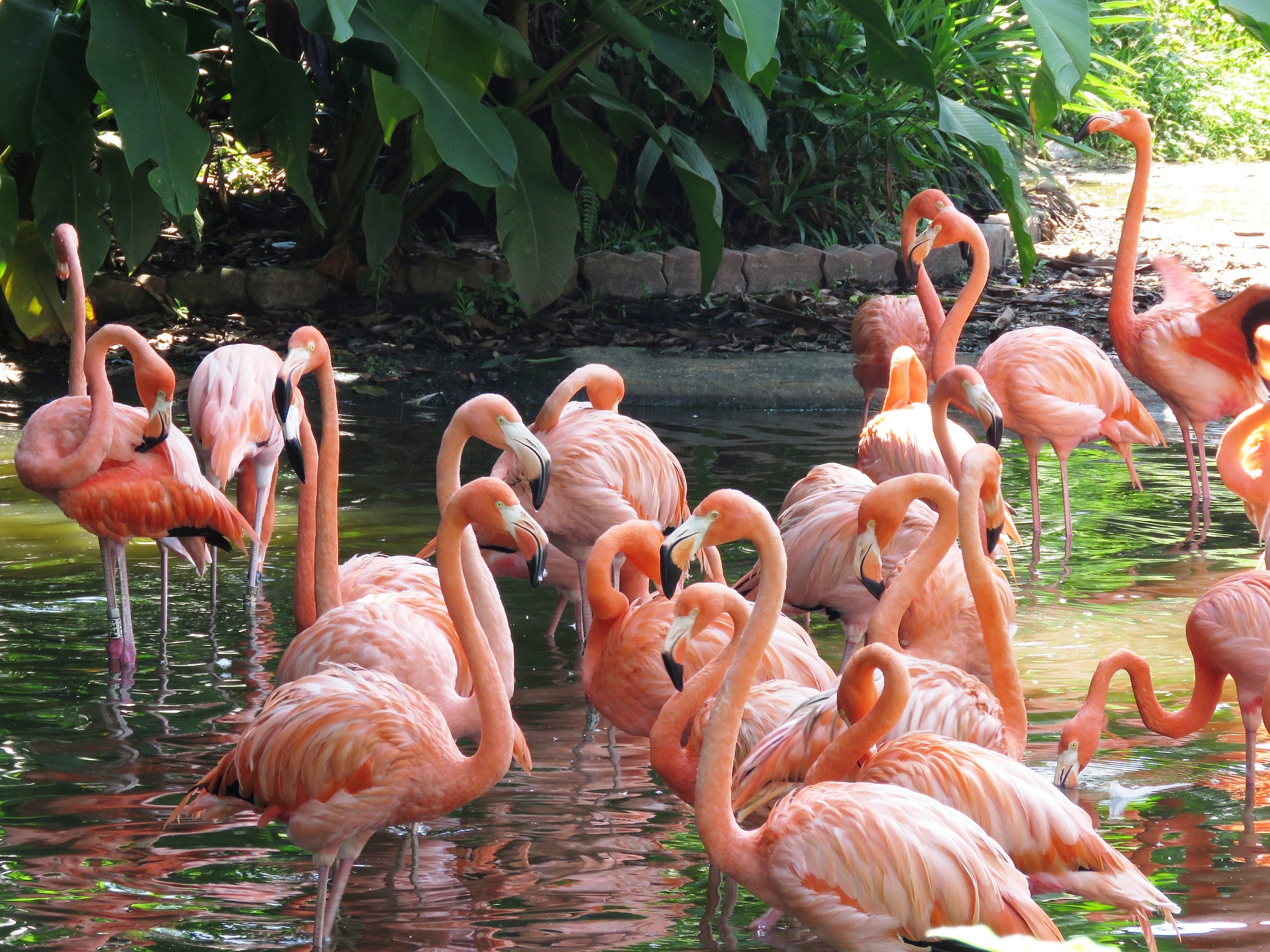 Cataratas + Parque das Aves